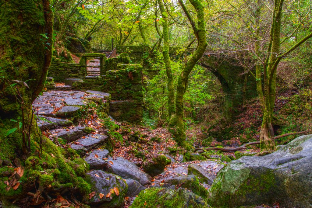 Ancient,Ruins,In,A,Forest,In,Fragas,Do,Eume,,Galicia