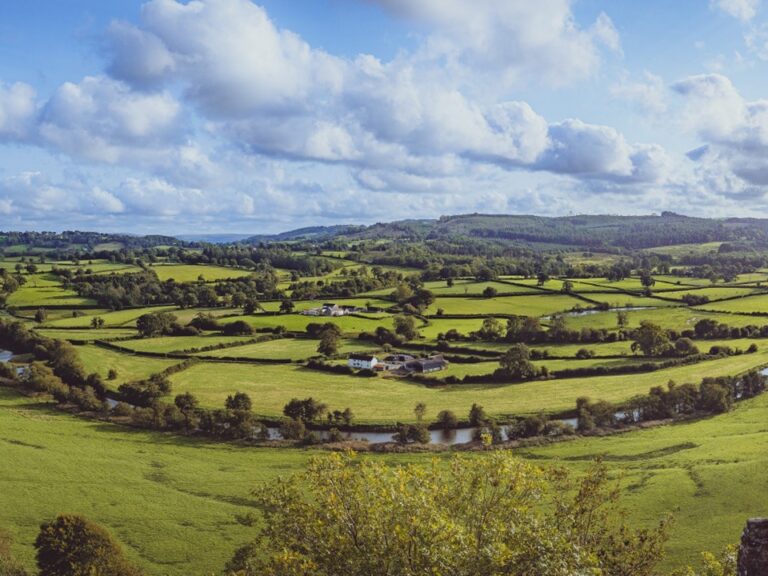 West Wales1